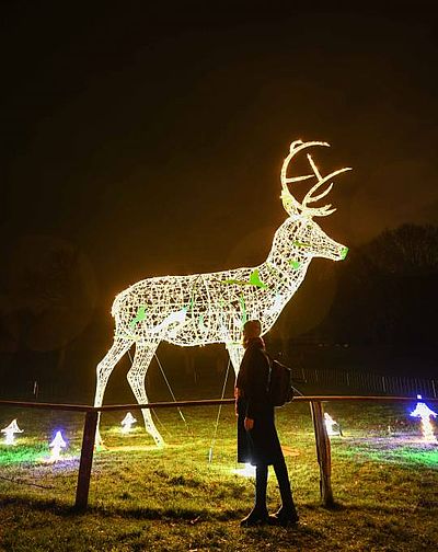 Eine junge Frau in Winterkleidung steht vor einem leuchtenden Hirsch.