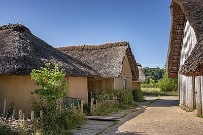 Rekonstruierte Wikingerhäuser mit hohen Reetdächern im Freigelände des Wikinger Museums Haithabu.