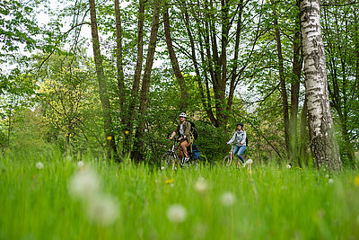 Ein Mann und eine Frau fahren mit ihren Fahrrädern an einer Wiese und Bäumen entlang.