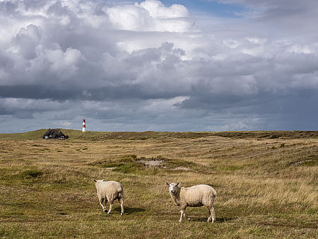 Landscape at the North Sea