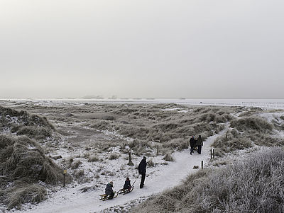 Winterliche Dünen an der Nordsee