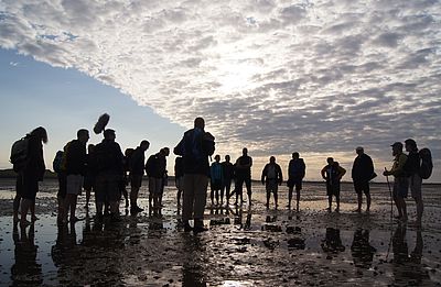 Eine Gruppe wandert gemeinsam mit einem Gästeführer durch den Nationalpark Wattenmeer