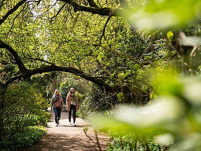 Zwei Frauen laufen auf einem idyllischen Weg. Sie sind umgeben von grünen Büschen und Bäumen.