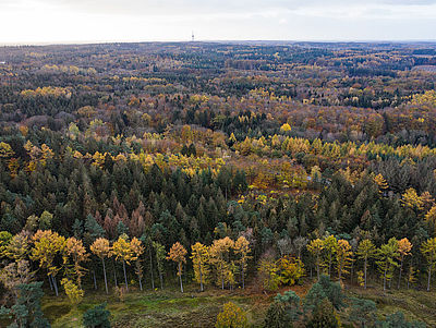 Luftaufnahme vom Naturpark Aukrug