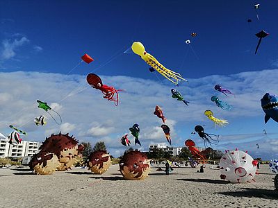 Bunte Drachen in Form von Fischen, Kraken und Kugelfischen schweben über dem Sandstrand am Fehmarner Südstrand. Besucherinnen und Besucher betrachten die großen Flugobjekte vor blauem Himmel mit einzelnen Wolken.