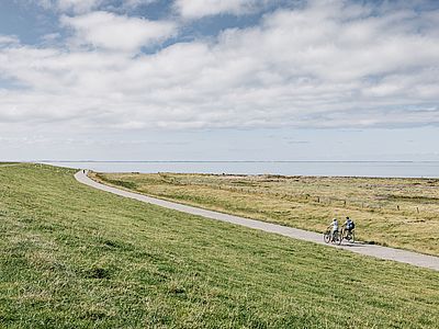 Radweg auf einem grünen Deich an der Nordseeküste. Zwei Personen fahren mit Fahrrädern auf dem Weg, der sich durch die Landschaft bis zum Horizont zieht.