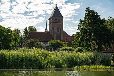 Blick über einen See und dichtes Schilf auf den Ratzeburger Dom