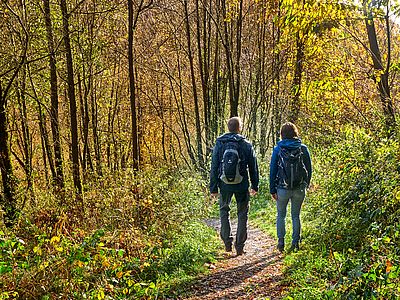 Zwei Personen mit Rucksäcken wandern auf einem schmalen Waldweg durch einen sonnigen, herbstlich gefärbten Laubwald.