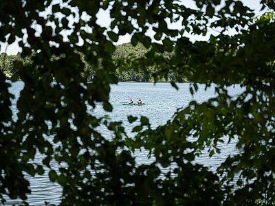 Durch dichtes grünes Laub fällt der Blick auf zwei Personen in einem Ruderboot auf dem Ratzeburger See.