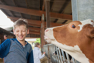 Eine Kuh streckt ihren Kopf zu einem Jungen. Dieser lacht herzlich.