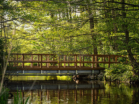 Brücke im Wald am Kellersee