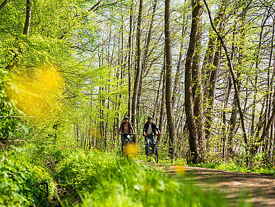 Ein Mann und eine Frau fahren mit ihren Fahrrädern durch ein Waldstück mit grüner Vegetation.