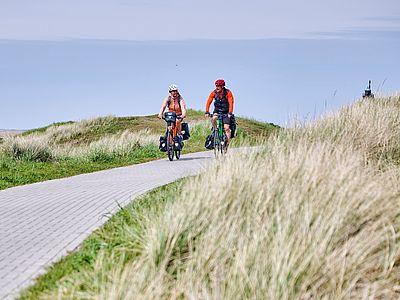 Zwei Personen fahren mit Fahrrädern auf einem befestigten Weg durch eine offene Dünenlandschaft. Hohe Gräser säumen den Weg auf beiden Seiten. Beide Radfahrenden tragen Helme und Gepäcktaschen am Fahrrad.