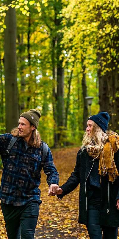 Zwei Personen wandern Hand in Hand auf einem herbstlichen Waldweg. Eine Person zeigt in die Ferne, während buntes Laub und hohe Bäume den Weg säumen.