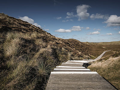Langer Holzweg mit Stufen führt durch die menschenleere, herbstliche Dünenlandschaft im Norden der Insel Sylt.