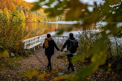 Zwei Personen gehen Hand in Hand auf einem herbstlich mit bunten Blättern bedeckten Weg zu einem kleinen weißen Holzsteg am See. Der See spiegelt die herbstlich gefärbten Bäume am Ufer.