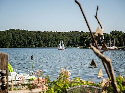 Ein Segelboot fährt über den Ratzeburger See. Am bewaldeten Ufer liegen weitere Segelboote an einem Steg.