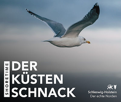 Podcast-Cover ShoreTime - Der Küstenschnack 