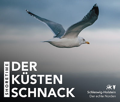 Podcast-Cover ShoreTime - Der Küstenschnack 