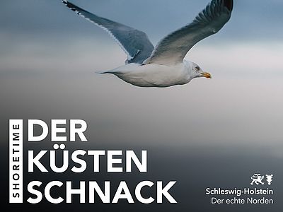 Podcast-Cover ShoreTime - Der Küstenschnack 