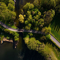 Ein Radweg befindet sich zwischen grüner Vegetation und überquert mit einer Brücke ein Gewässer.