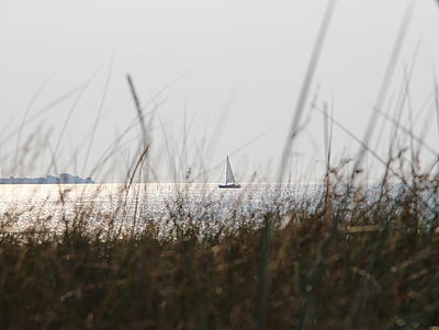Ein Segelboot auf der Ostsee