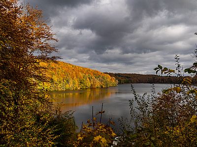 Ein von herbstlich gefärbten Wäldern umgebener See unter dunklen Wolken. Sonnenlicht lässt die gelb-orangefarbenen Bäume am gegenüberliegenden Ufer leuchten und spiegelt sich im Wasser.