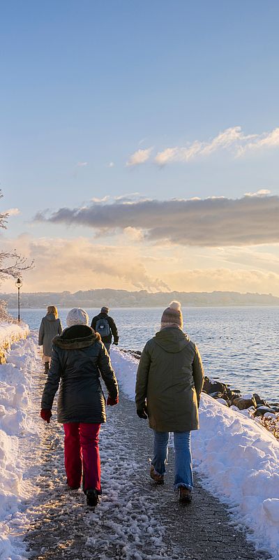 Vier Personen in Winterkleidung spazieren auf einem schneebedeckten Uferweg entlang der Ostsee. Verschneite Bäume säumen den Weg, während die tief stehende Sonne das Meer beleuchtet.