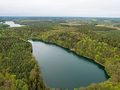Luftaufnahme vom Naturpark Lauenburgische Seen 