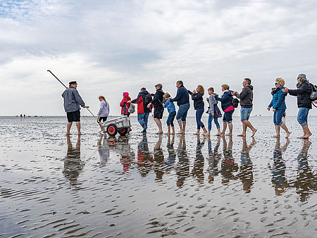 Eine Gruppe von Menschen laufen durch das Wattenmeer.