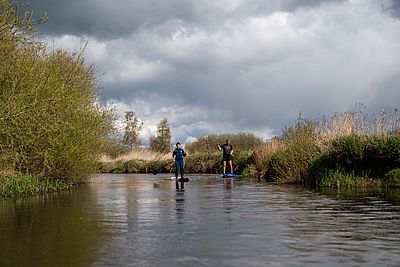 Zwei Personen stehen auf Stand-Up-Paddle-Boards in einem schmalen Fluss, umgeben von grüner Ufervegetation und Schilf. Beide paddeln in entspannter Haltung.