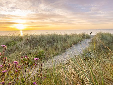 Sandweg durch mit Strandhafer und Wildblumen bewachsene Dünen zum Meer. Die tief stehende Sonne taucht Strand und Wasser in warmes Licht, am Ufer sind zwei Personen zu sehen.