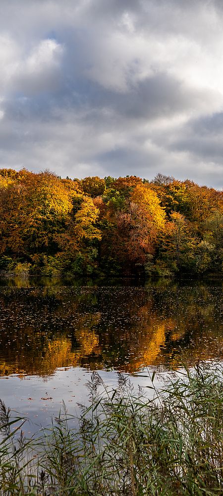 Herbstlich gefärbter Wald an einem ruhigen See. Gelbe, orange und grüne Baumkronen spiegeln sich im Wasser, während dunkle Wolken über der Landschaft ziehen.