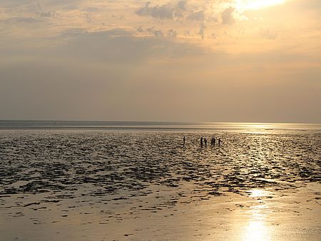 Weite Wattlandschaft an der Nordseeküste bei Sonnenuntergang. Das flache Watt ist von kleinen Wasserflächen durchzogen und spiegelt das warme Licht der tief stehenden Sonne. In der Ferne ist eine kleine Gruppe von Menschen auf einer Wattwanderung zu sehen.