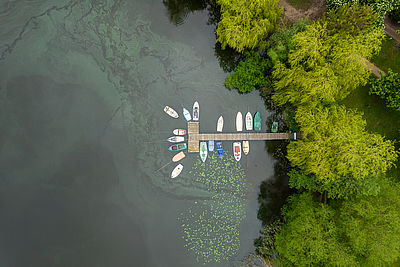 Ein aus der Vogelperspektive fotografierter See, in den ein Steg aus einem Wald kommend hineinragt. Am Steg haben kleine, bunte Boote angelegt.