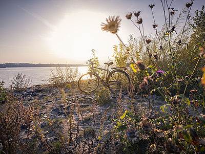 Abgestelltes Fahrrad steht im Licht der untergehenden Sonne am Elbufer bei Schulau, spätsommerlich