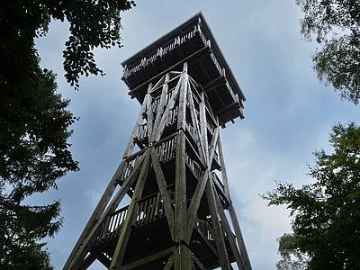 Der hölzerne Aussichtsturm Langer Otto erhebt sich zwischen den Bäumen der Hahnheide.