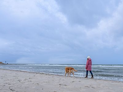 Eine Person spaziert mit einem Hund am Strand entlang. Unter bewölktem Himmel laufen beide direkt am Wasser, während kleine Wellen an das sandige Ufer rollen.