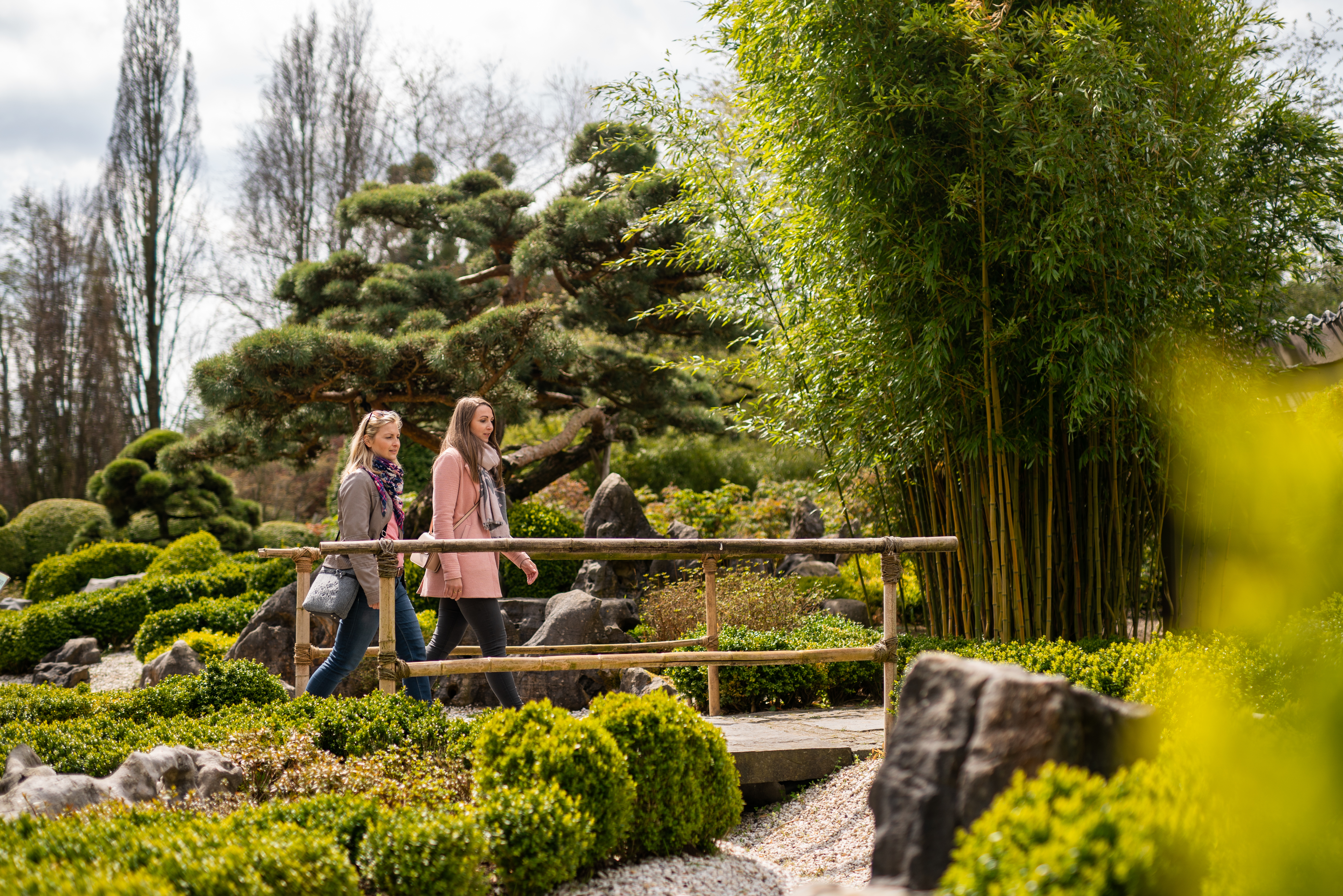 Zwei Besucherinnen spazieren durch die Parkanlage des Arboretums Ellerhoop.